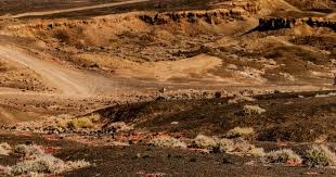 潜行者2首个剧情DLC定档2026年 全面升级UE5